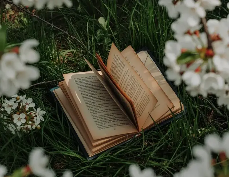 Budget-Friendly Spring Reading Spot in Nature | Free Outdoor Book Nook